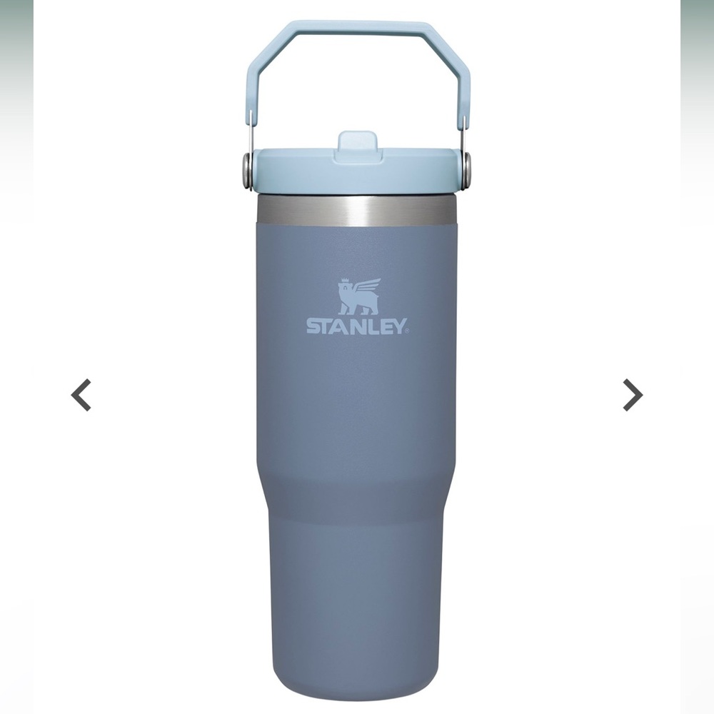 Stanley 30 Oz. IceFlow Tumbler with Flip Straw